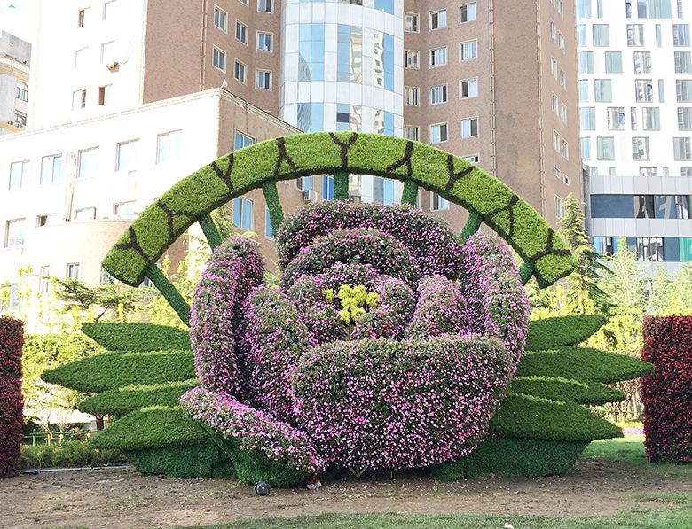 大型花開富貴仿真綠雕造型